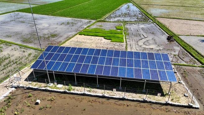 POMPA AIR TENAGA SURYA DARI GANJAR PRANOWO BANTU PETANI JAWA TENGAH PANEN TIGA KALI SETAHUN
