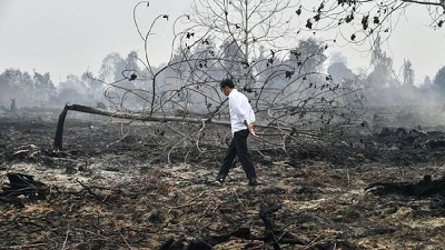 TAHUN 2023 KEMARAU LEBIH KERING, PICU HUTAN DAN LAHAN GAMPANG TERBAKAR