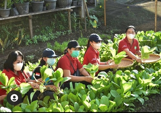 TP PKK KOTA DENPASAR TEBAR 10.000 BIBIT NILA