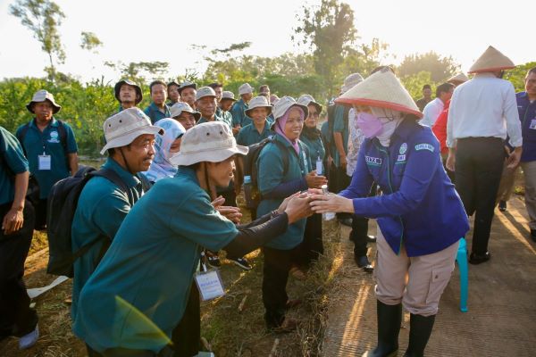 WASPADA! PERTANIAN PALING TERDAMPAK PERUBAHAN IKLIM