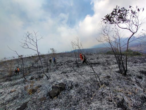BELAJAR DARI KARHUTLA GUNUNG ARJUNO, WARGA DIMINTA WASPADA KEMARAU
