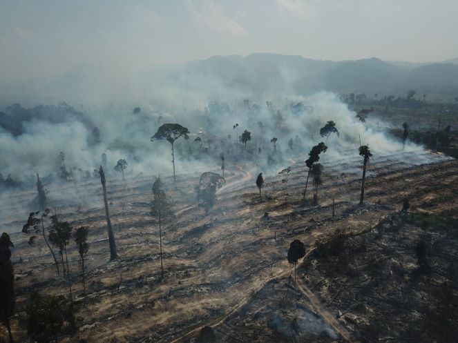 BUTUH 11 HARI MEMADAMKAN 100 HEKTAR LAHAN KARHUTLA DI TEBO JAMBI