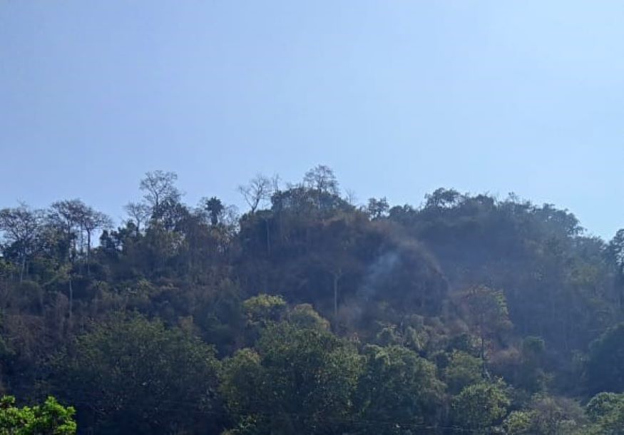GERAK CEPAT TIM GABUNGAN PADAMKAN KEBAKARAN LERENG GUNUNG JAYANTI