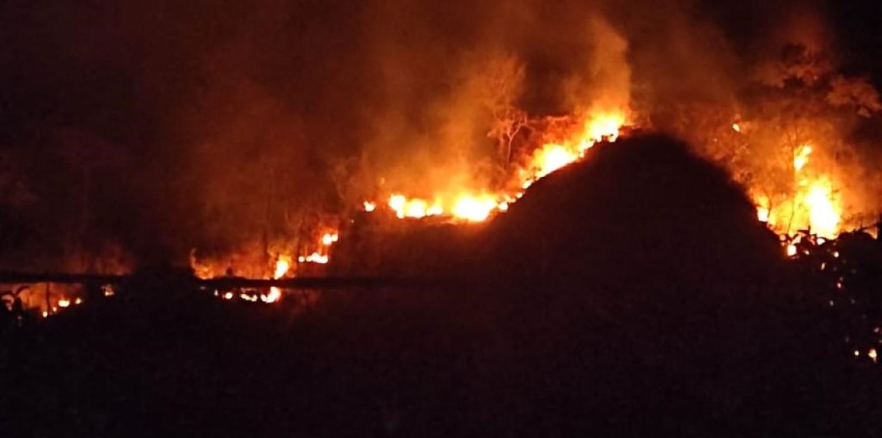 LERENG GUNUNG JAYANTI SUKABUMI TERBAKAR, TIM GABUNGAN BUKA JALUR PEMADAMAN