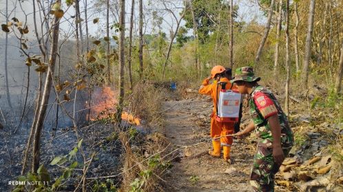 BAKAR SAMPAH HANGUSKAN 9 HEKTAR LAHAN DI SRAGEN BERHASIL DIPADAMKAN