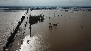 Satu Jembatan Rusak Akibat Banjir di Kabupaten Penajam Paser Utara