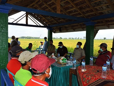 Jelang Panen Raya, Wabup Ngawi Kunjungi Gapoktan, Berharap Hasil Pertanian Meningkat