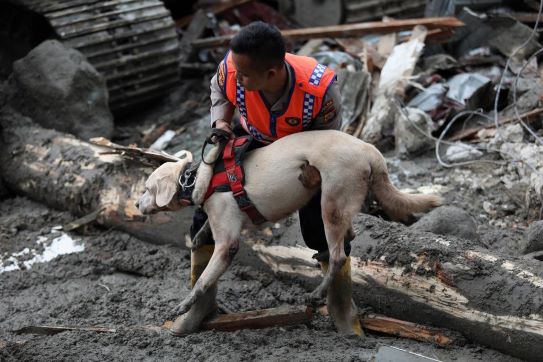 ANJING PELACAK DIKERAHKAN MENCARI KORBAN BANJIR HUMBANG HASUNDUTAN