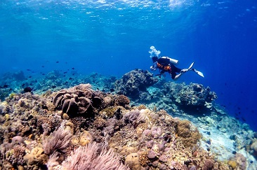 Menparekraf Dorong Pengembangan Sektor Parekraf di Sulawesi Barat 