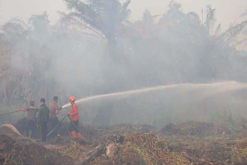 124 HEKTAR LEBIH HUTAN BARITO UTARA TERBAKAR