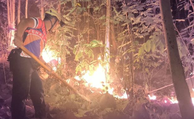 KARHUTLA HANGUSKAN PULUHAN HEKTAR HUTAN MAGETAN, KLATEN, DAN SRAGEN