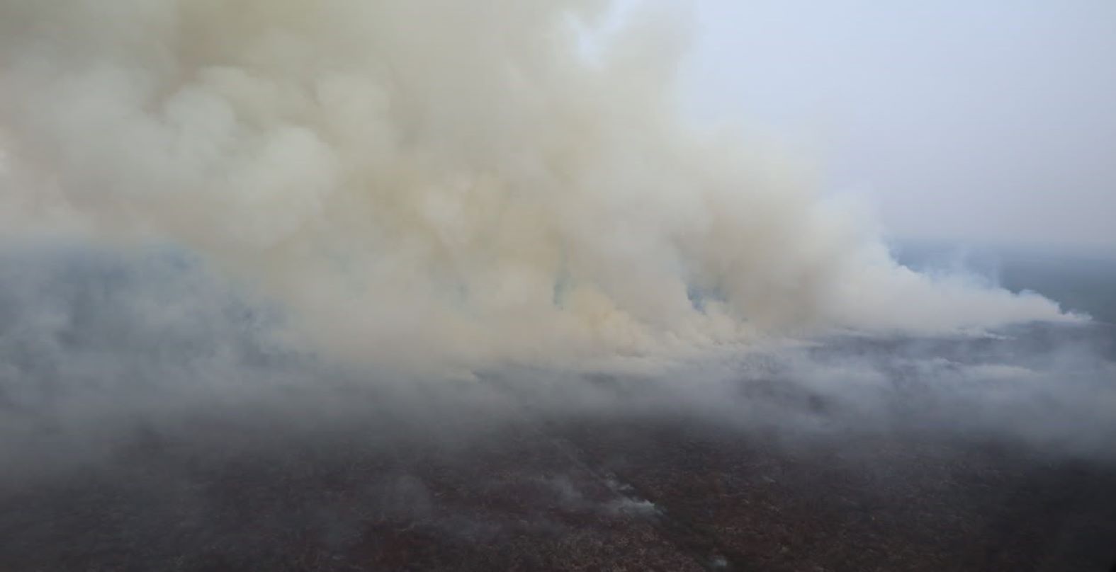 BNPB DORONG APH USUT TUNTAS PELAKU PEMBAKARAN HUTAN DAN LAHAN SUMSEL