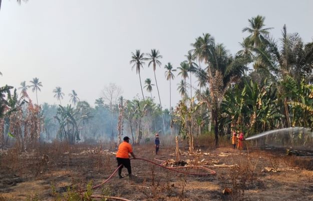 PARIMO, TOJO UNA-UNA, SIDENREN RAPPANG, BELITIM PUN TAK LUPUT DARI KARHUTLA