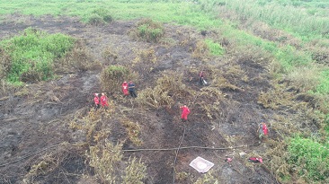 Tim Gabungan Berhasil Padamkan 5 Hektar Lahan Terbakar di Indragiri Hulu