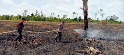 Karhutla Desa Sungai Tabuk Seluas 55,61 Ha Berhasil Dipadamkan