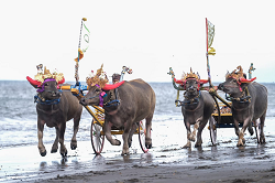 Tingkatkan Amenitas dan Atraksi Wisata, Menparekraf Serahkan DAK Pariwisata ke Pemkab Jembrana Bali