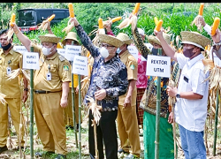BI Jatim Dorong Program Integrated Farming Klaster Jagung di Madura
