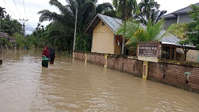 Empat Kecamatan di Aceh Utara Terdampak Banjir, 552 Rumah Warga Terendam