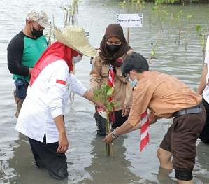 Jawa Timur Kejar Target 34 Ribu Hektare Restorasi Mangrove
