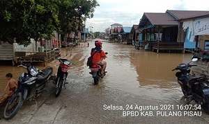 Air Masih Menggenangi Rumah Warga Pulang Pisau di Tiga Desa