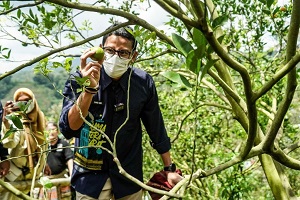 Menparekraf Dorong Penguatan Digitalisasi di Desa Wisata Saribu Gonjong Sumbar