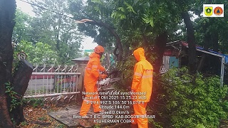 Angin Kencang di Bogor, Akibatkan Empat Rumah di Dua Kecamatan Mengalami Rusak