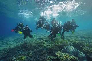 Menparekraf Jajal Wisata Bawah Laut di Sawandarek Raja Ampat