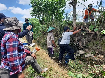 Lakukan Survey Penyelamatan, BPCB Jatim Identifikasi Mendalam Temuan Struktur Batu Bata Kuno di Persawahan Karangtengah 