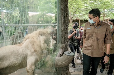 Menparekraf Upayakan Langkah Pemulihan bagi Lembaga Konservasi Kebun Binatang