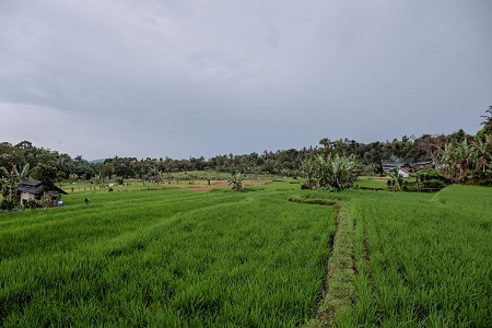 Menparekraf Dorong Potensi Desa Cisaat Subang Masuk Ke Jaringan Desa Wisata