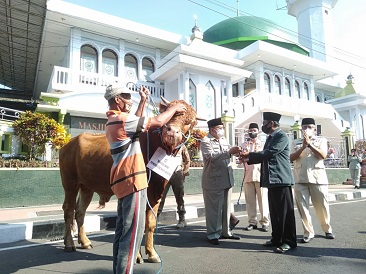Pemerintah Kota Blitar Sumbang Satu Ekor Lembu dan Puluhan Kambing ke Masjid dan Musala