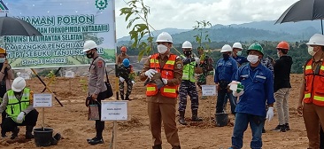 Wabup Kotabaru Lakukan Penanaman di Area Pasca Tambang