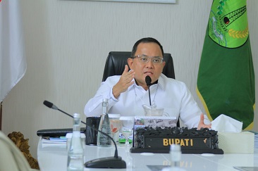 Bupati Dodi Reza Jadi Narasumber Muba Environment Webinar Forum 2021