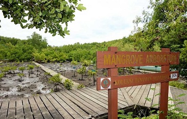 BAPPENAS SUSUN PETA JALAN PENGELOLAAN LAHAN BASAH  UNTUK EKOSISTEM MANGROVE DAN GAMBUT