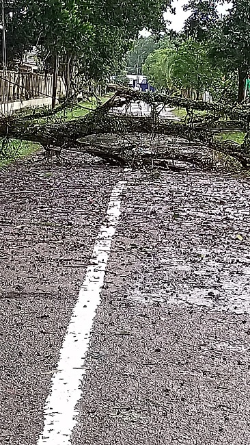 Sebanyak 674 Rumah di 5 Kecamatan Terdampak Banjir di Kabupaten Mempawah