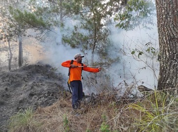 Kebakaran Lahan dan Semak Gunung Batur Bangli Berhasil Dipadamkan