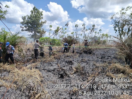 HUT Damkar dan Penyelamatan ke-102, Mendagri Tekankan Misi Penyelamatan