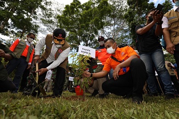 Perkuat Mitigasi Berbasis Vegetasi, Kepala BNPB Bersama Gubernur Maluku Tanam Pohon di Ambon