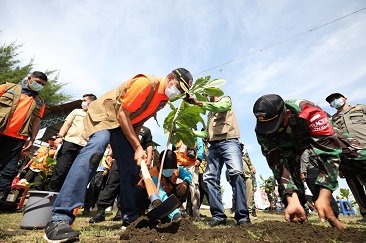 Kepala BNPB Tanam Butun dan Palaka Guna Perkuat Mitigasi Berbasis Vegetasi di Selatan Jawa