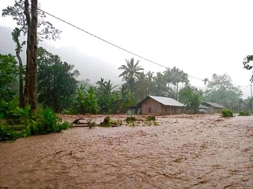 Banjir Sebabkan 7 Ha Sawah Warga Terendam di Alor Selatan, Kini Mulai Berangsur Surut