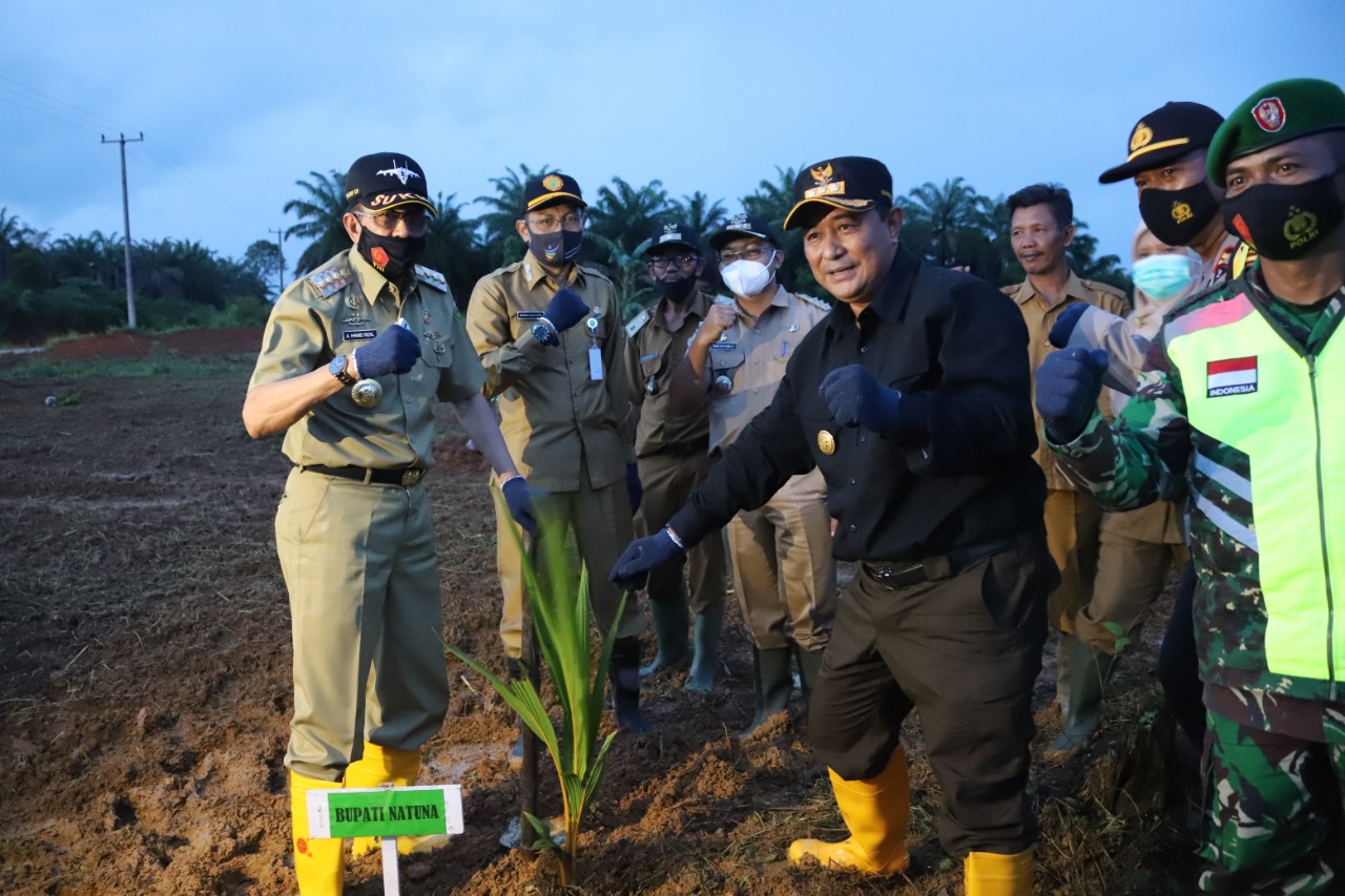 Pjs Gubernur Bahtiar, Minta Dukungan Pemda Kab Kota Penanaman 1 Miliar Pohon Buah Kelapa Di Kepri
