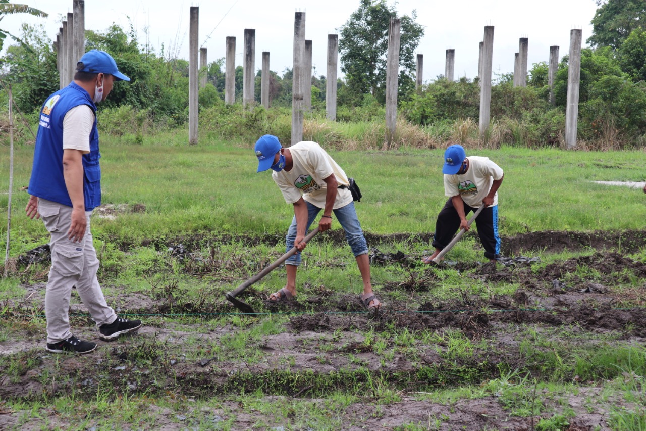 BNPB Ajak Warga Riau Olah Lahan Gambut Tanpa Bakar Untuk Cegah Karhutla