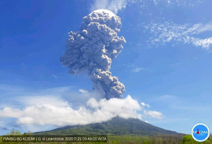  Gunung Ili Lewotolok Erupsi, Tinggi Kolom 4.000 Meter