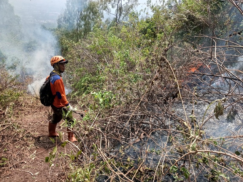 Terkendala Medan Terjal Dan Titik Api Yang Sulit Dijangkau, Tim Gabungan Masih Berupaya Padamkan Api di Lereng Gunung Panderman, Kota Batu