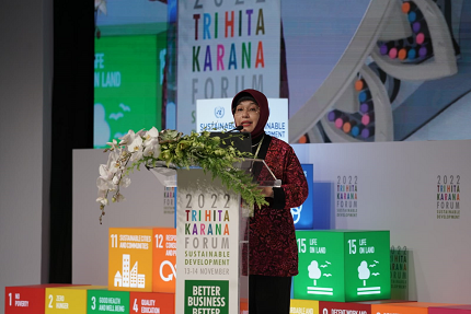 BAPPENAS UNDANG INVESTOR MANFAATKAN BLENDED FINANCE UNTUK PEMBIAYAAN TPB/SDGS