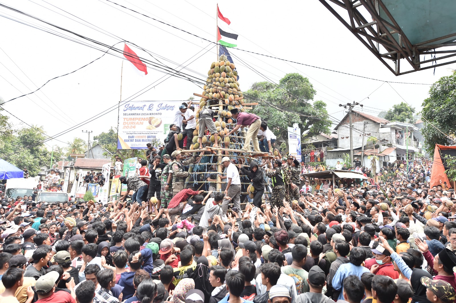 RIBUAN WARGA PASURUAN BEREBUT GUNUNGAN DURIAN RAKSASA