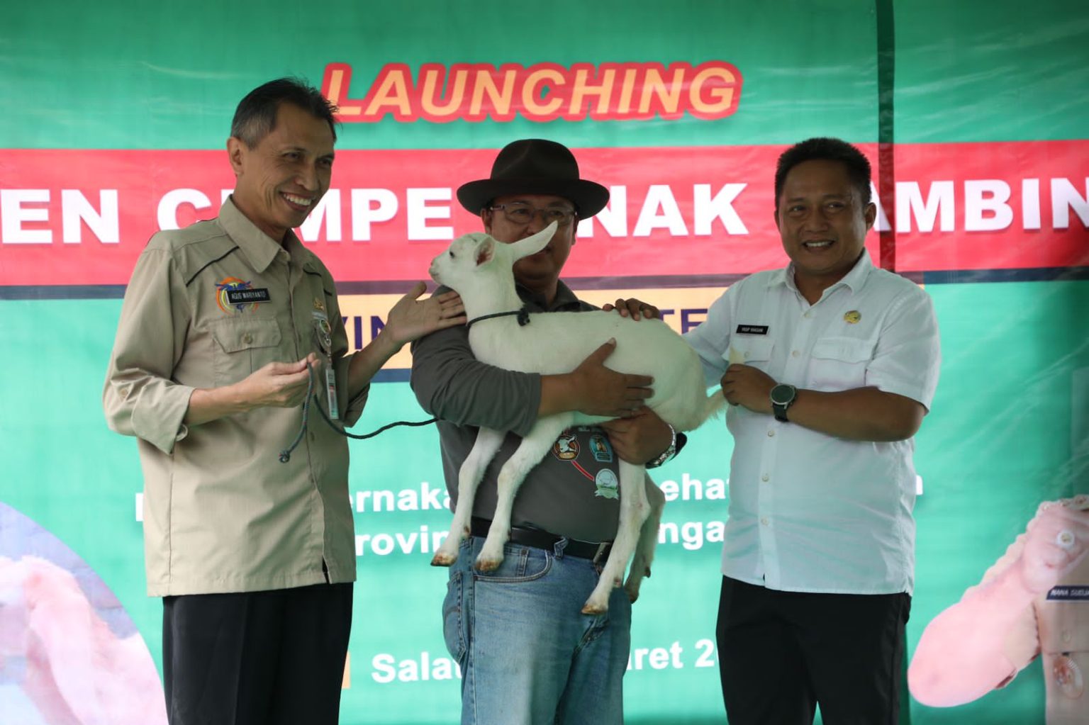 PANEN CEMPE, JATENG SOKONG KEBUTUHAN DAGING NASIONAL
