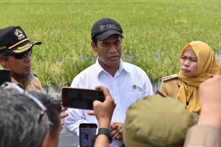 MENTERI PERTANIAN SALURKAN RP30 MILIAR UNTUK PETANI KORBAN BANJIR DI DEMAK, KUDUS, DAN GROBOGAN 