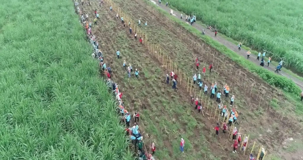 PENANAMAN BAMBU BERSAMA DI ECO BAMBOO PARK MAGETAN
