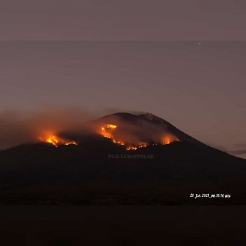 Lontaran Lava Pijar Erupsi Gunung Ile Lewotolok Sebabkan Kebakaran Hutan dan Lahan